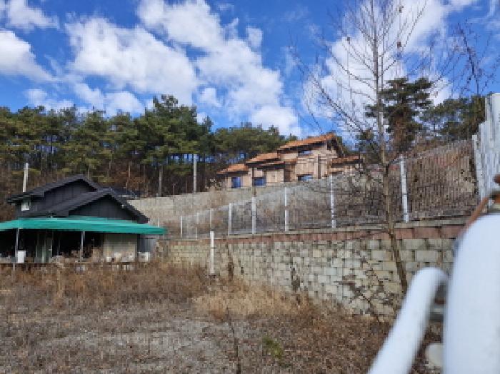 경기 안산시 단원구 대부북동 도로 경매 물건 사진 2 · 2025타경53761