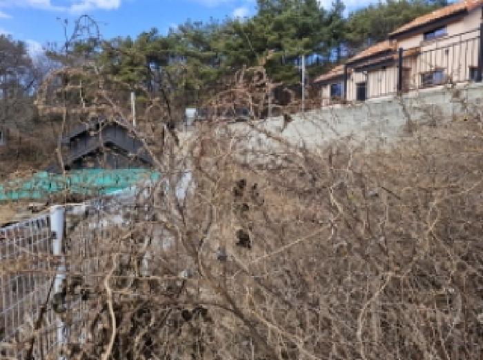 경기 안산시 단원구 대부북동 도로 경매 물건 사진 3 · 2025타경53761