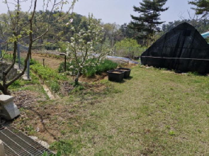 경기 안산시 단원구 대부남동 단독주택 경매 물건 사진 2 · 2025타경556