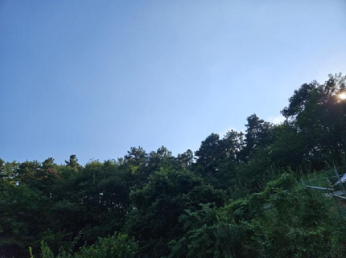 경기 시흥시 포동 임야 경매 물건 사진 4 · 2025타경741