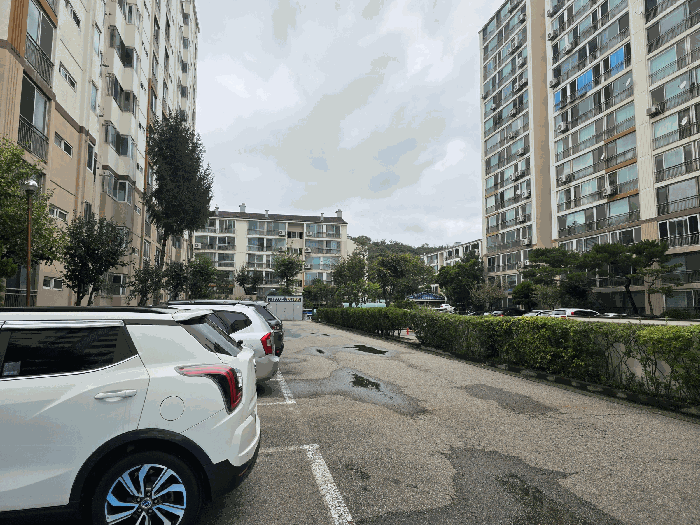 경기 안산시 상록구 사동 아파트 경매 물건 사진 6 · 2025타경845