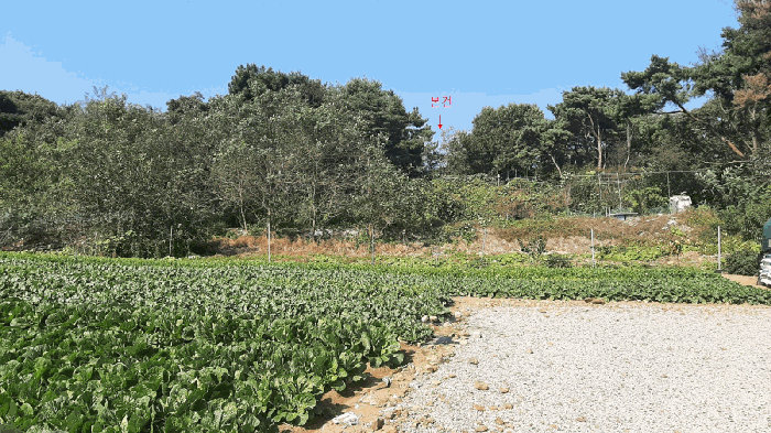 경기 안산시 단원구 대부북동 임야 경매 물건 사진 5 · 2025타경928