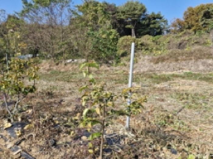경기 안산시 단원구 대부북동 임야 경매 물건 사진 2 · 2025타경928