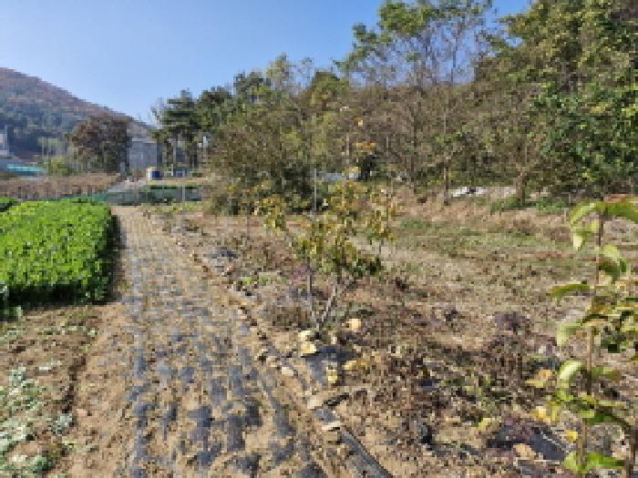 경기 안산시 단원구 대부북동 임야 경매 물건 사진 3 · 2025타경928