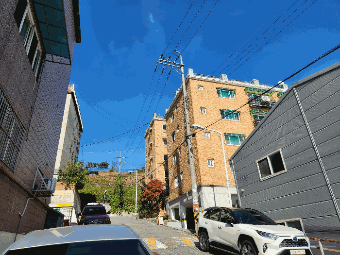 경기 안산시 상록구 팔곡이동 다세대 경매 물건 사진 6 · 2025타경930