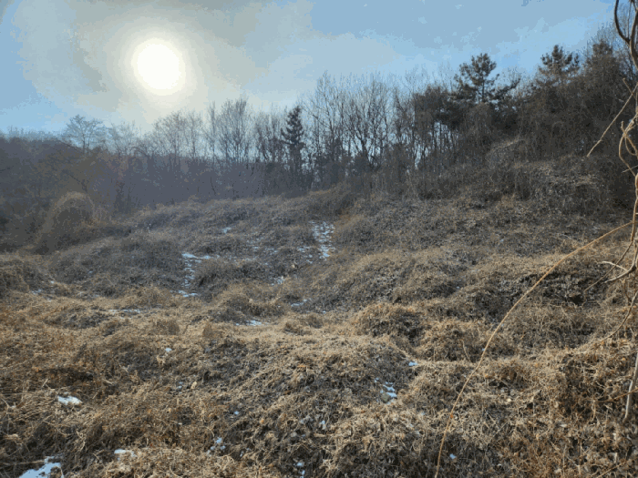 경기 안산시 단원구 대부북동 임야 경매 물건 사진 6 · 2026타경29