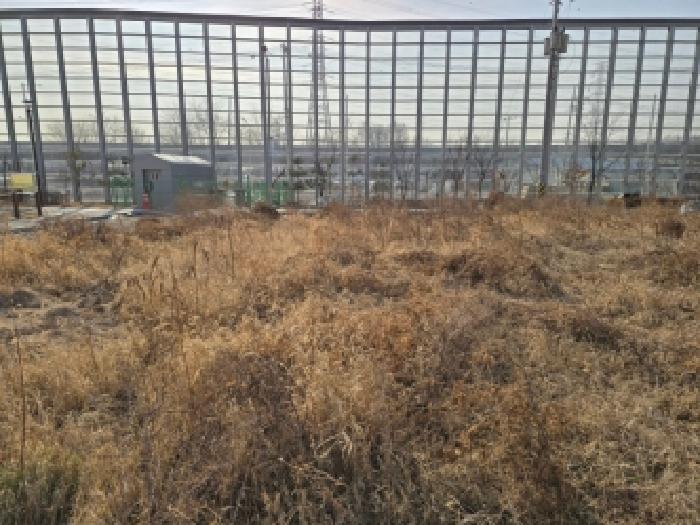 경기 시흥시 거모동 대지 경매 물건 사진 4 · 2026타경50059